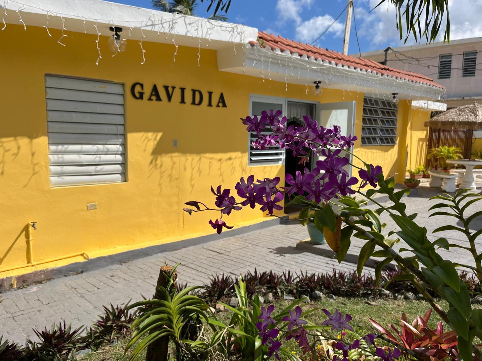 Gavidias Guest House San Lorenzo Extérieur photo