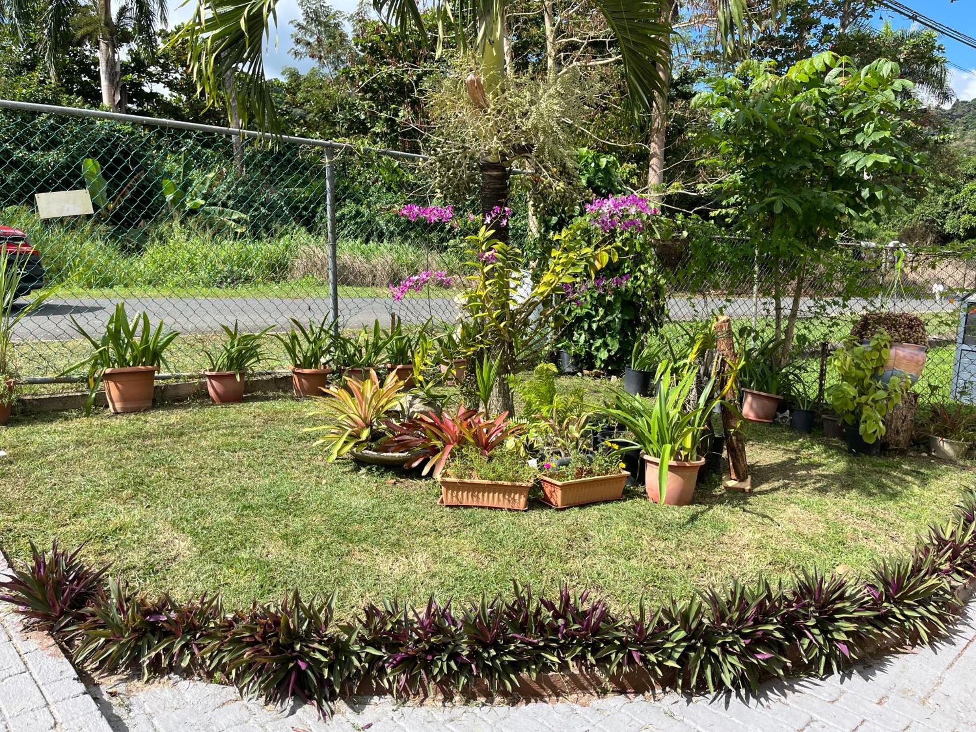 Gavidias Guest House San Lorenzo Extérieur photo